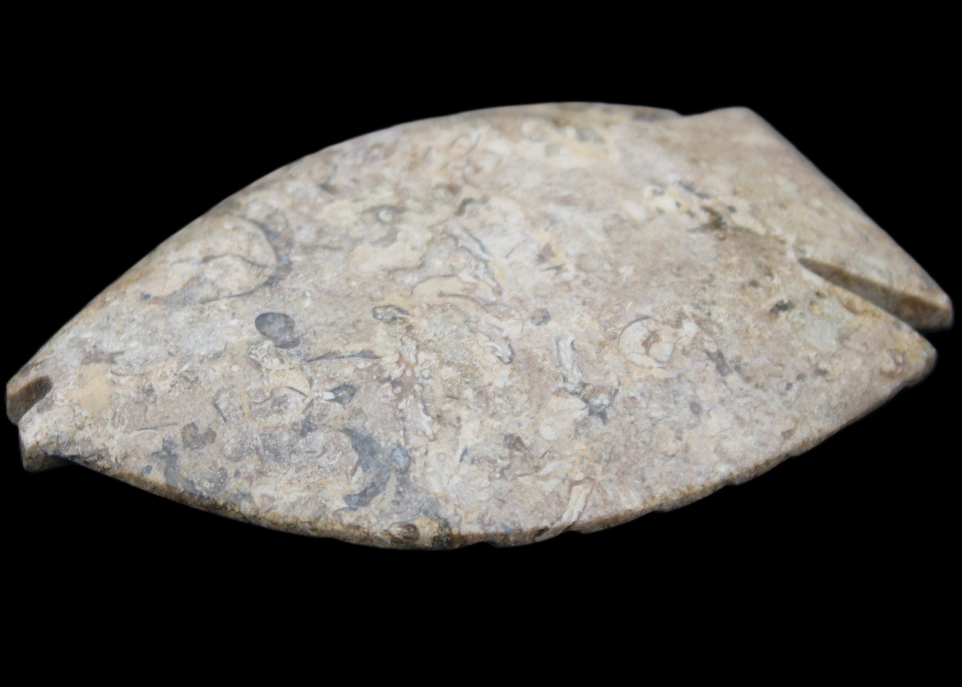 Fossil Stone hand-carved Fish platter 149*104*16mm 305g in sunlight - Rocks and Things Store