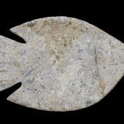 Fossil Stone hand-carved Fish platter 149*104*16mm 305g in sunlight - Rocks and Things Store