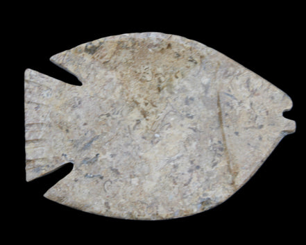 Fossil Stone hand-carved Fish platter 149*104*16mm 305g in sunlight - Rocks and Things Store