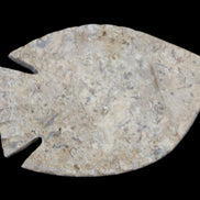 Fossil Stone hand-carved Fish platter 149*104*16mm 305g in sunlight - Rocks and Things Store