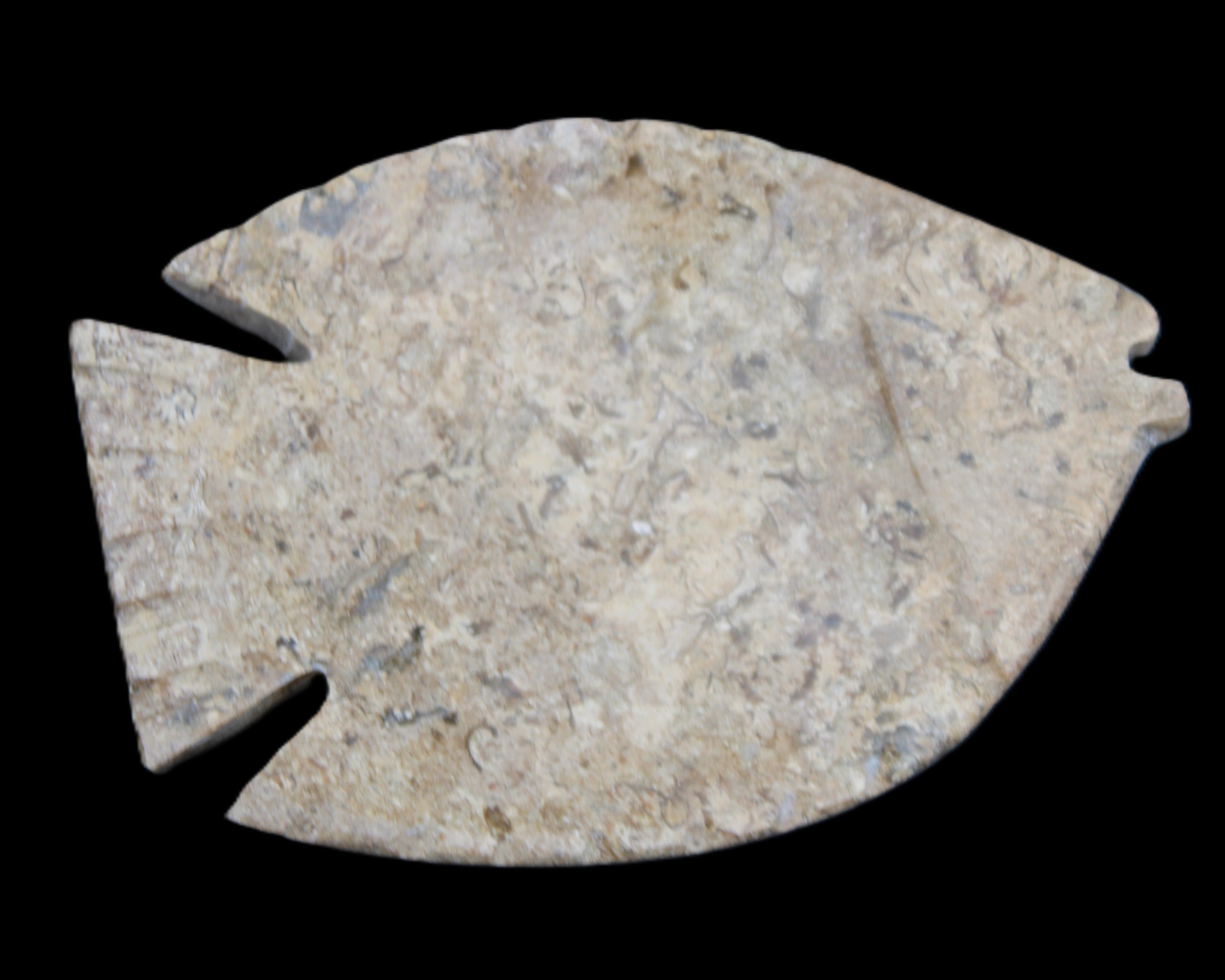 Fossil Stone hand-carved Fish platter 149*104*16mm 305g in sunlight - Rocks and Things Store