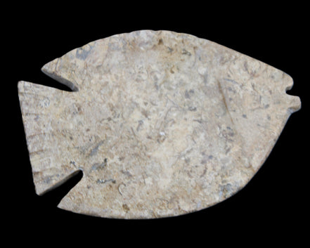 Fossil Stone hand-carved Fish platter 149*104*16mm 305g in sunlight - Rocks and Things Store