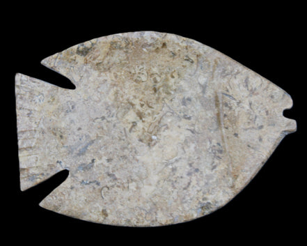 Fossil Stone hand-carved Fish platter 149*104*16mm 305g in sunlight - Rocks and Things Store