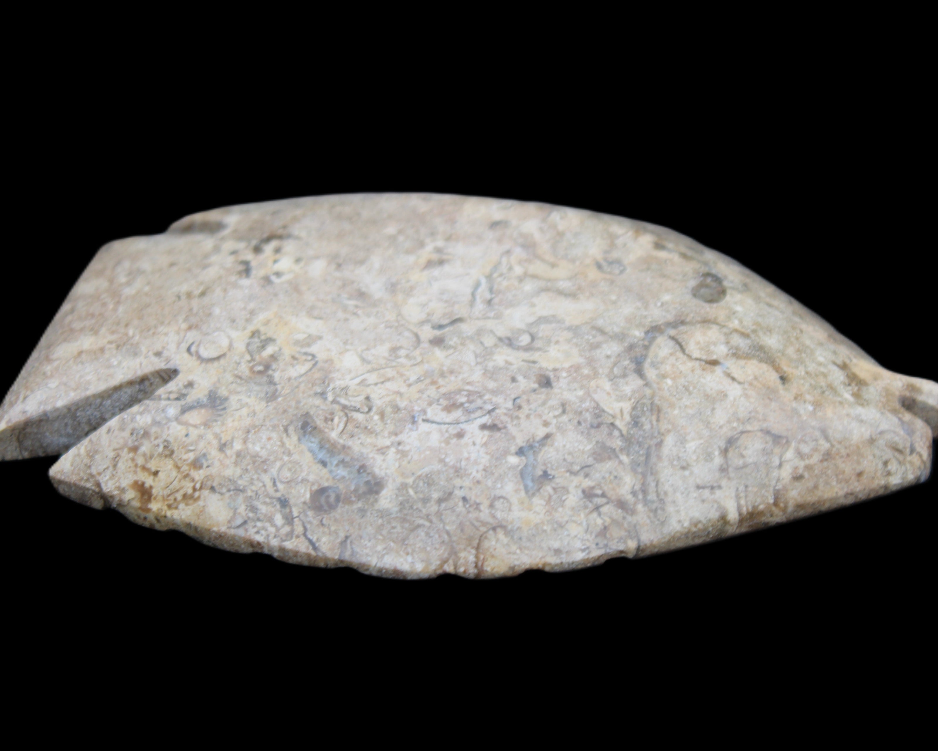 Fossil Stone hand-carved Fish platter 149*104*16mm 305g in sunlight - Rocks and Things Store