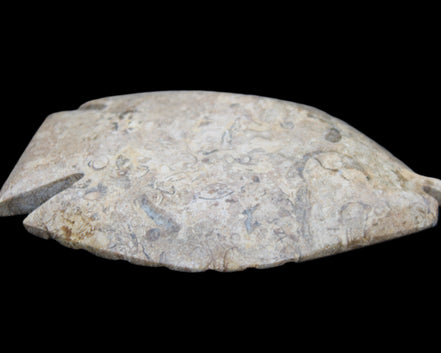 Fossil Stone hand-carved Fish platter 149*104*16mm 305g in sunlight - Rocks and Things Store