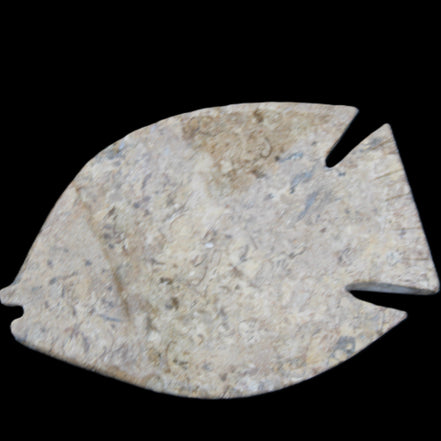 Fossil Stone hand-carved Fish platter 149*104*16mm 305g in sunlight - Rocks and Things Store