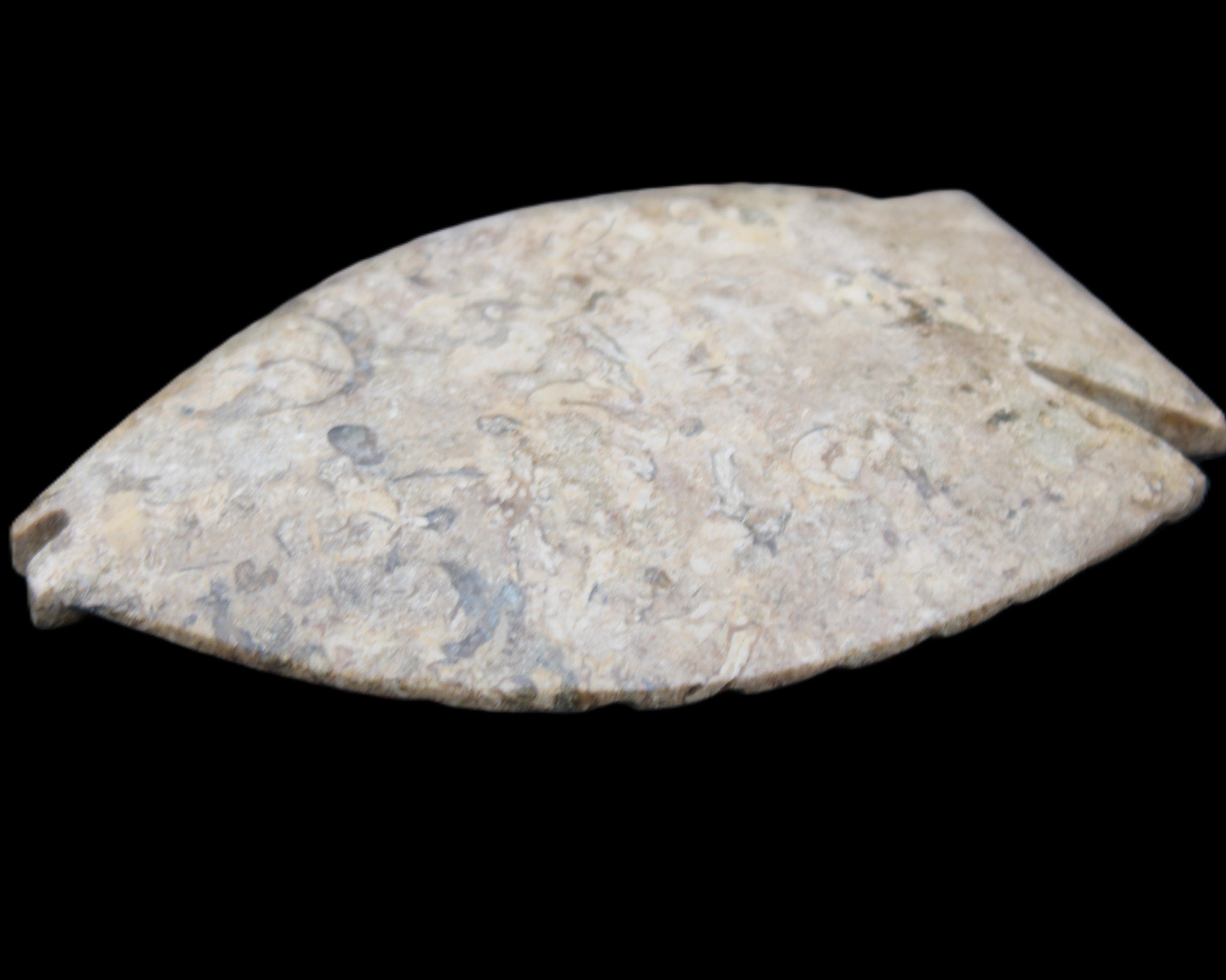 Fossil Stone hand-carved Fish platter 149*104*16mm 305g in sunlight - Rocks and Things Store