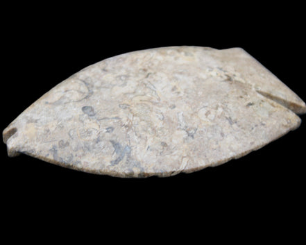 Fossil Stone hand-carved Fish platter 149*104*16mm 305g in sunlight - Rocks and Things Store