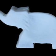 White Jade hand-carved Elephant platter 152*102*24mm 457g in sunlight - Rocks and Things Store