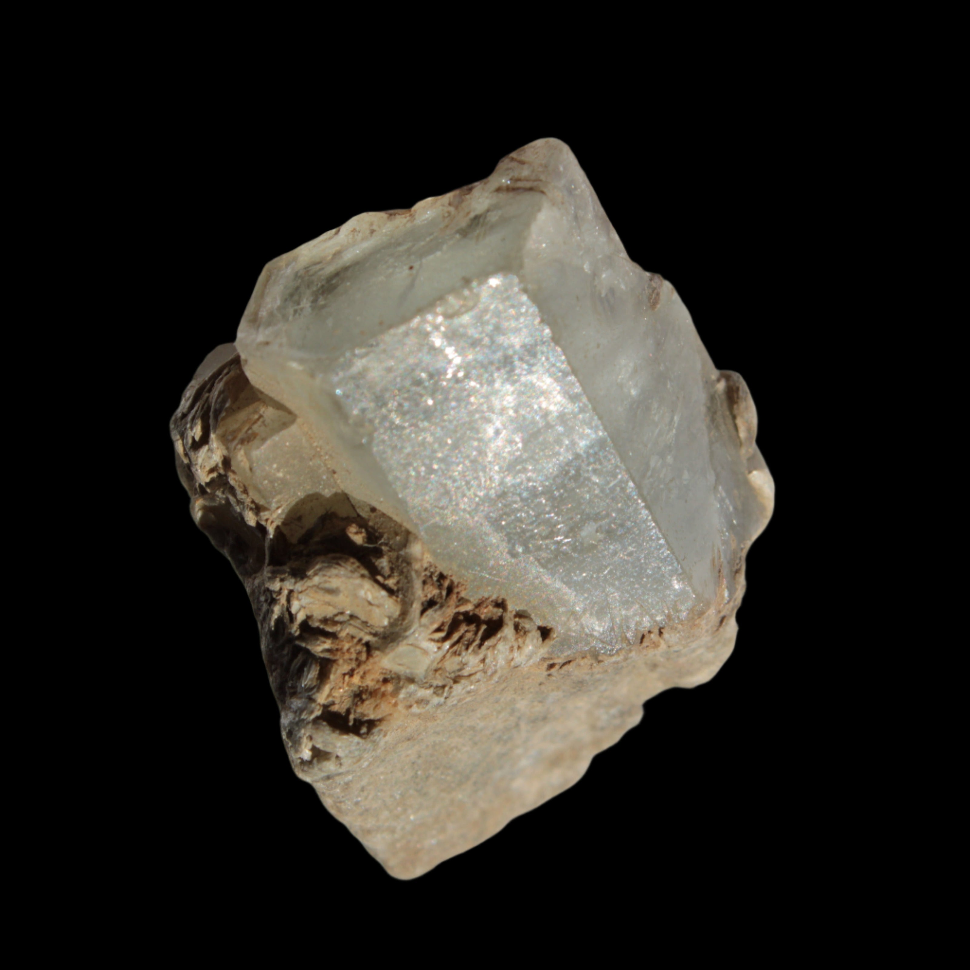 Aquamarine terminated crystals on Muscovite matrix from Afghanistan 145.9ct  29.2g Rocks and Things