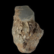 Aquamarine terminated crystals on Muscovite matrix from Afghanistan 145.9ct  29.2g - Rocks and Things Store