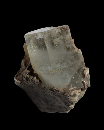 Aquamarine terminated crystals on Muscovite matrix from Afghanistan 145.9ct  29.2g - Rocks and Things Store