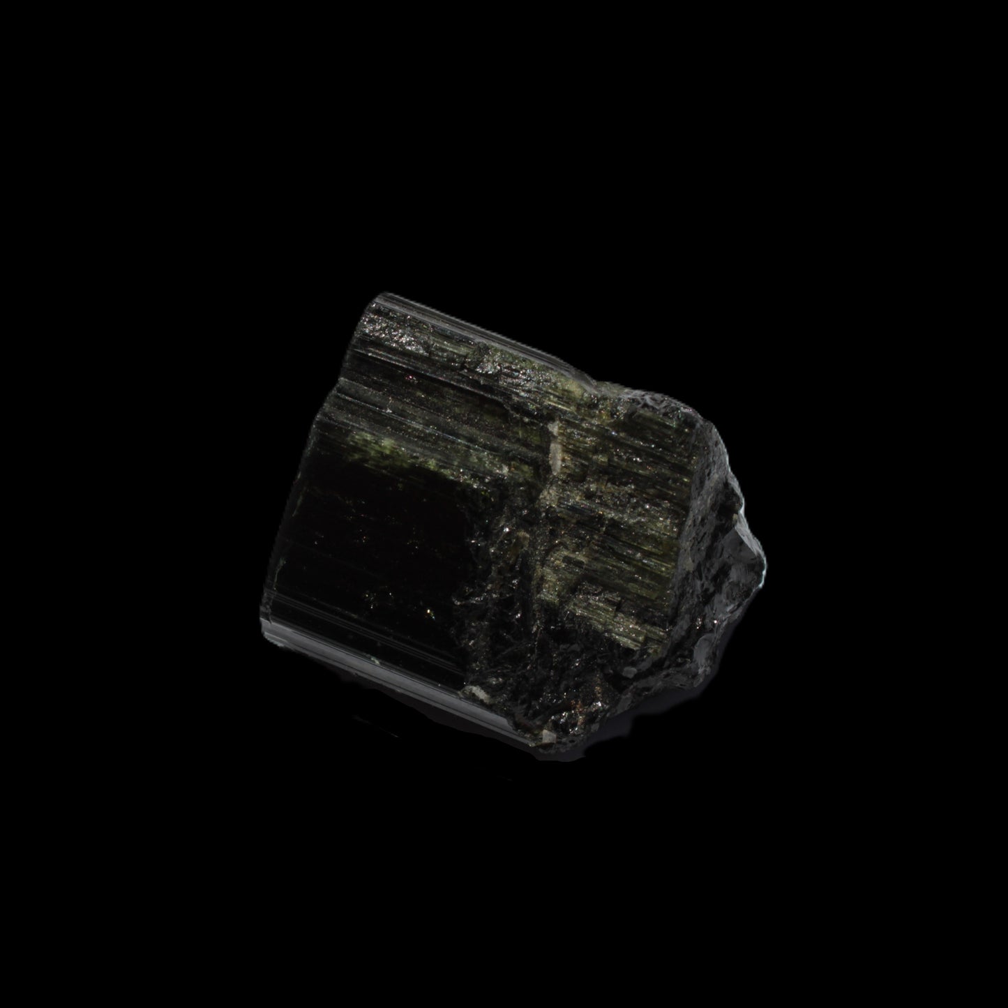 Dark Green Aegirine terminated crystal from Skardu, Pakistan 20.3g