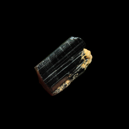 Rainbow Black Tourmaline from Skardu, Pakistan 31.4ct 6.3g - Rocks and Things Store