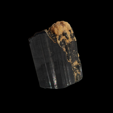 Rainbow Black Tourmaline from Skardu, Pakistan 31.4ct 6.3g - Rocks and Things Store
