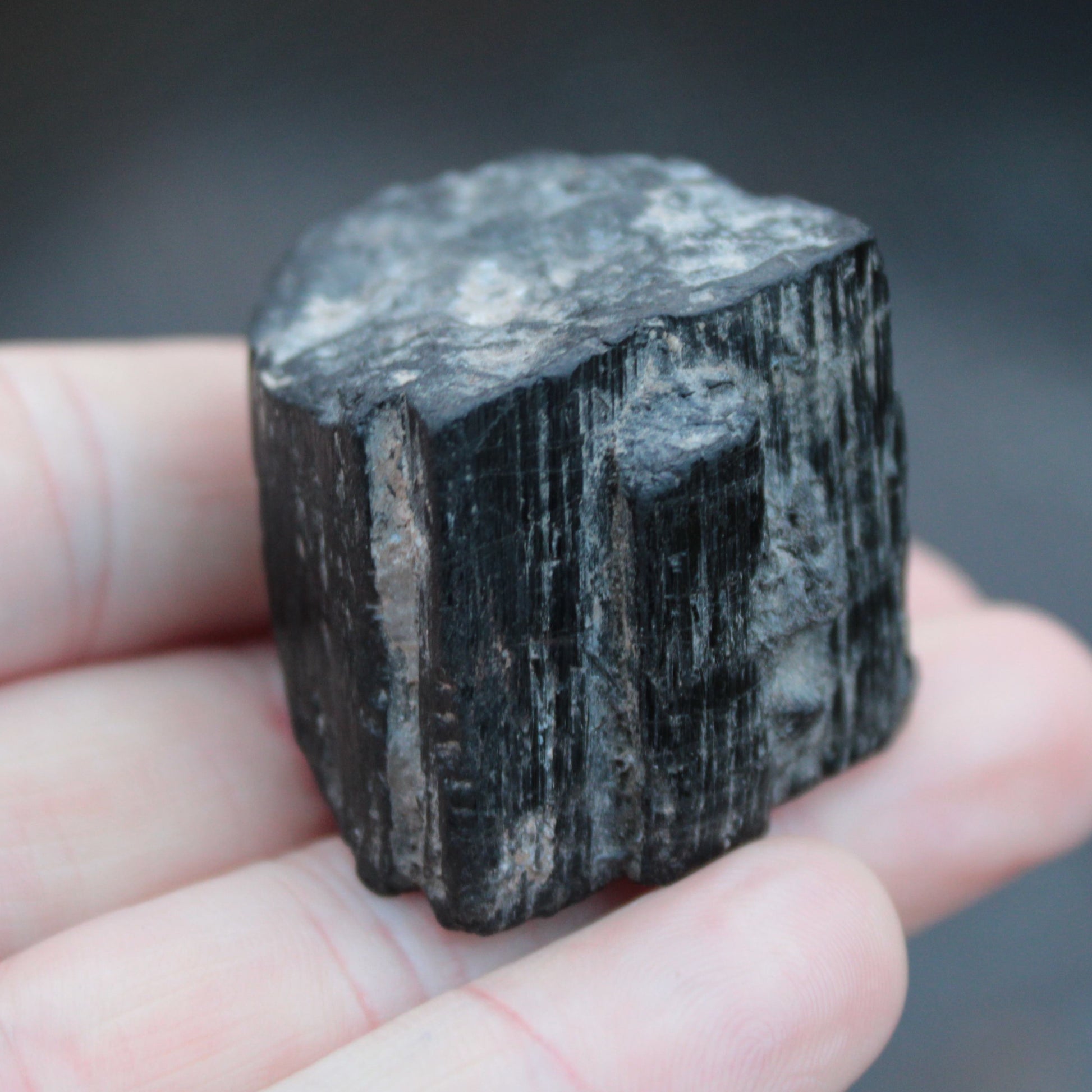 Black Tourmaline from Skardu, Pakistan 329ct  65.8g Rocks and Things