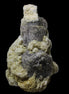 Pink Apatite crystals UV reactive in matrix from Afghanistan 478.6ct 95.7g Rocks and Things