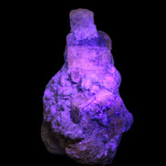 Pink Apatite crystals UV reactive in matrix from Afghanistan 478.6ct 95.7g Rocks and Things