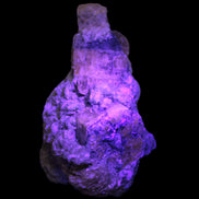 Pink Apatite crystals UV reactive in matrix from Afghanistan 478.6ct 95.7g Rocks and Things