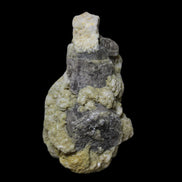 Pink Apatite crystals UV reactive in matrix from Afghanistan 478.6ct 95.7g Rocks and Things