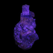 Pink Apatite crystals UV reactive in matrix from Afghanistan 478.6ct 95.7g Rocks and Things