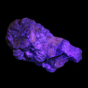 Pink Apatite crystals UV reactive in matrix from Afghanistan 478.6ct 95.7g Rocks and Things