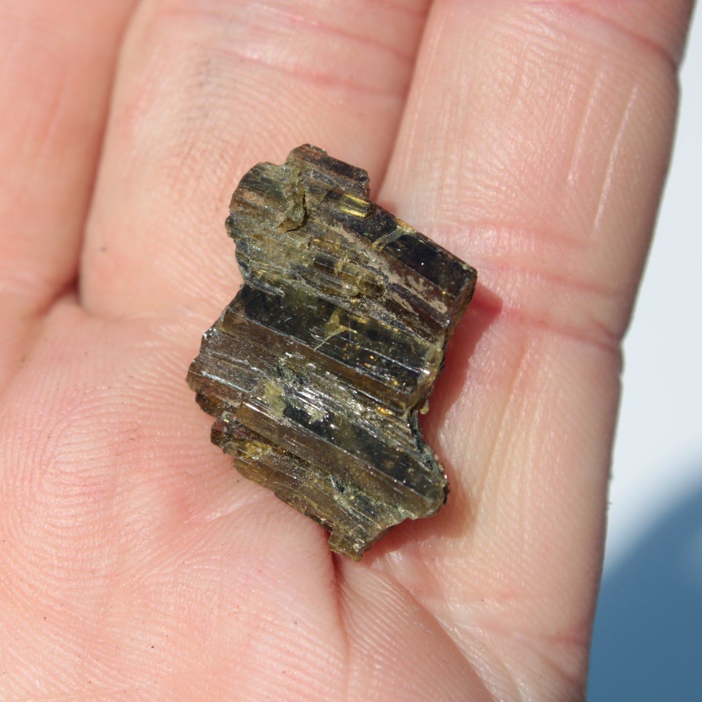 Olive Green with Golden Yellow Tourmaline columnar cluster from Skardu, Pakistan 3g Rocks and Things