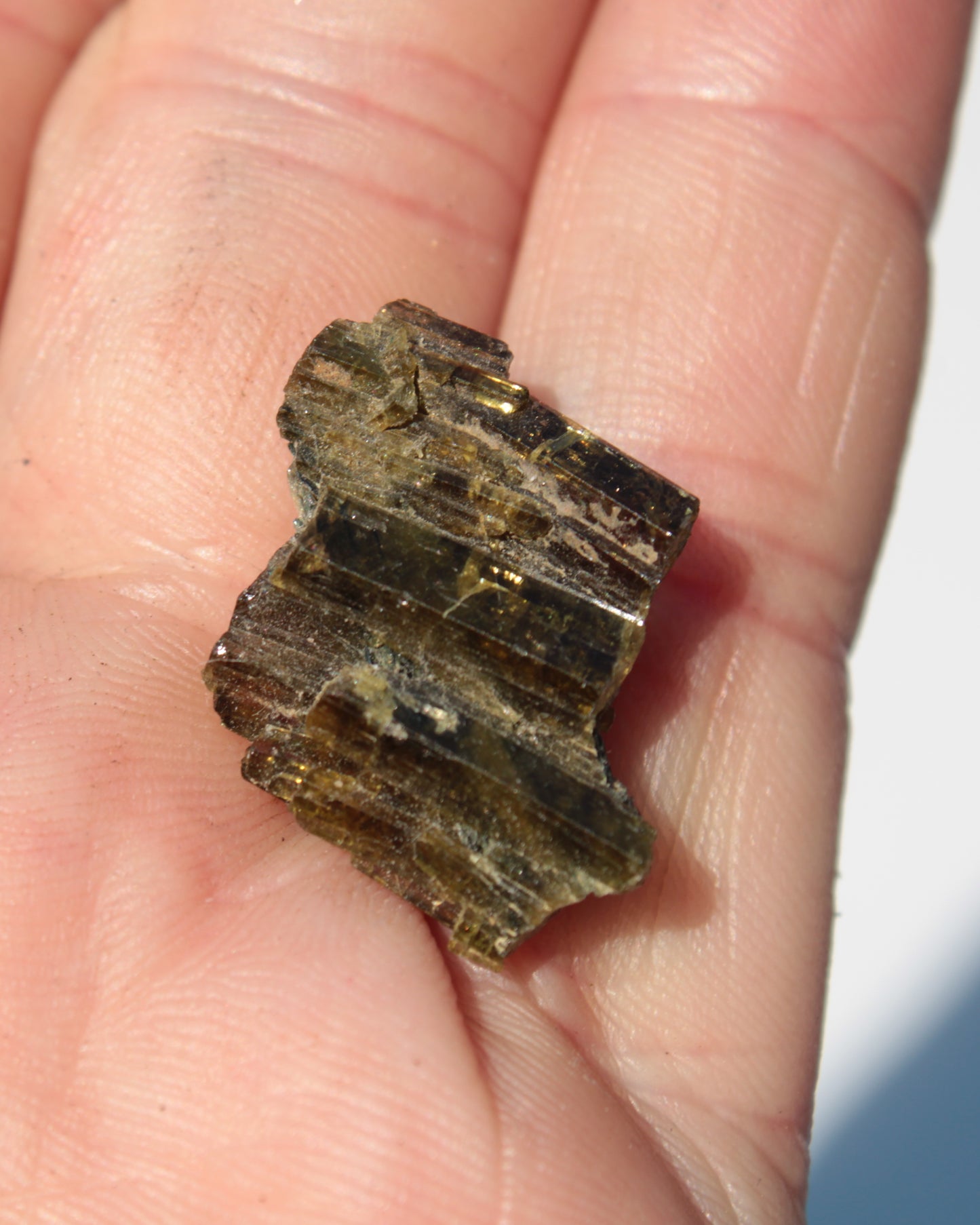 Olive Green with Golden Yellow Tourmaline columnar cluster from Skardu, Pakistan 3g Rocks and Things