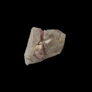 Pink Tourmaline on Smoky Quartz crystal from Afghanistan 112.8ct 22.56g imn sunlight  - Rocks and Things Store