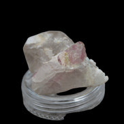 Pink Tourmaline on Smoky Quartz crystal from Afghanistan 112.8ct 22.56g in sunshine - Rocks and Things Store