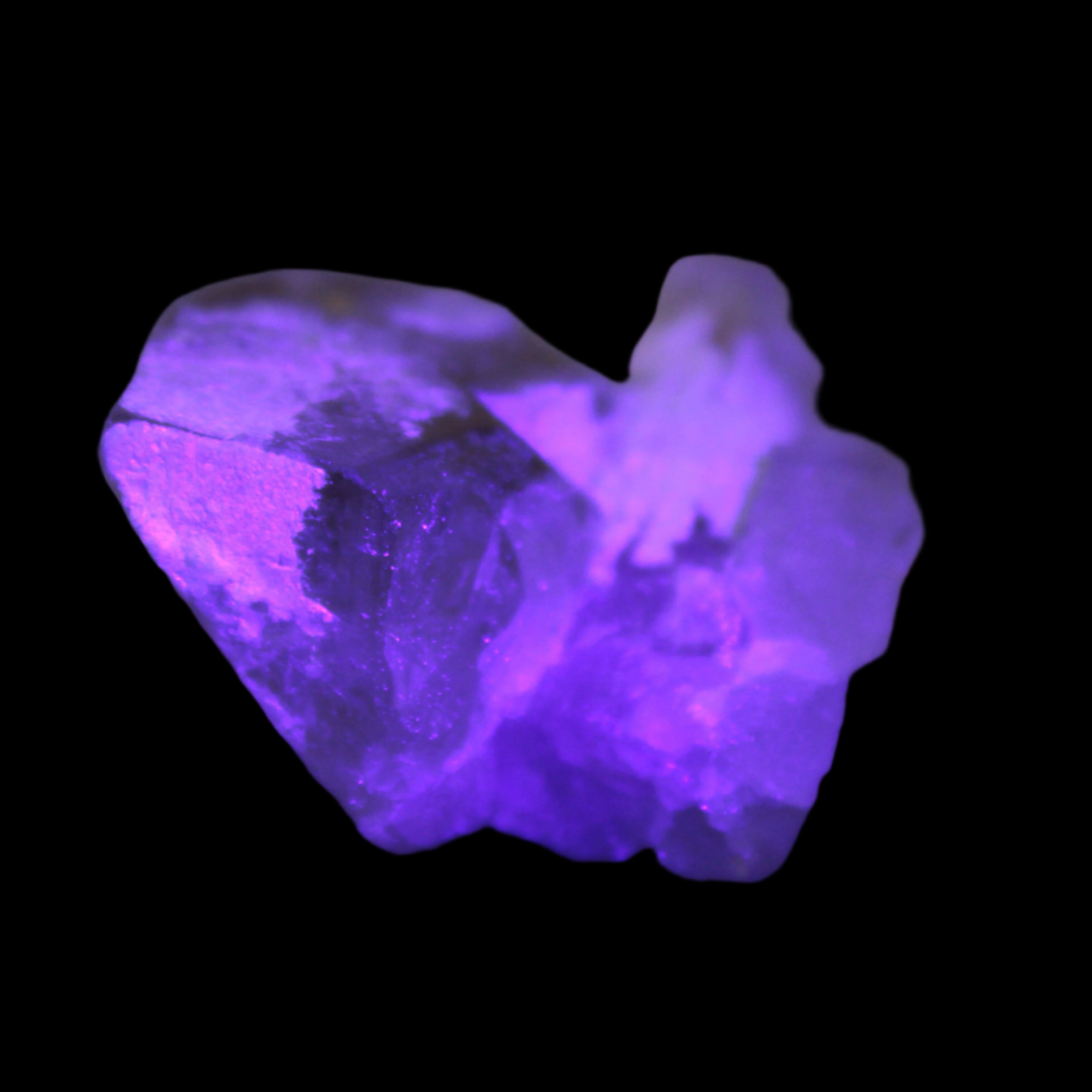 Pink Tourmaline on Smoky Quartz crystal from Afghanistan 112.8ct 22.56g in UV light - Rocks and Things Store
