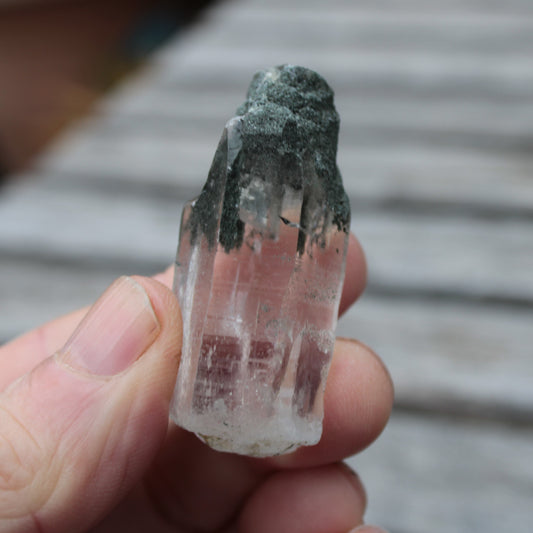 Quartz imprinted lemurian rainbow crystal with Chlorite phantoms 169ct 33.8g