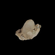 Terminated Aquamarine crystal pair in twinned Quartz crystal 57.6ct 11.5g - Rocks and Things Store