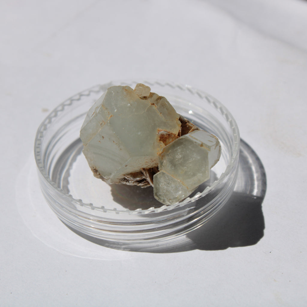 Clear terminated Aquamarine crystal cluster with Muscovite from Afghanistan 13.1g Rocks and Things