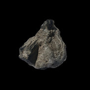 Dark Green Tourmaline in Marble from Afghanistan 130ct 26.0g - Rocks and Things Store