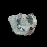 Dark Green Tourmaline in Marble from Afghanistan 130ct 26.0g - Rocks and Things Store