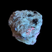 Ruby UV reactive with Phlogopite in Marble/Dolomite matrix 398.9ct 79.8g in UV light - Rocks and Things Store