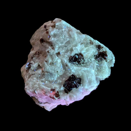 Ruby UV reactive with Phlogopite in Marble/Dolomite matrix 398.9ct 79.8g in UV light - Rocks and Things Store