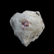 Ruby UV reactive with Phlogopite in Marble/Dolomite matrix 398.9ct 79.8g in sunlight - Rocks and Things Store