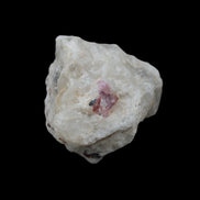 Ruby UV reactive with Phlogopite in Marble/Dolomite matrix 398.9ct 79.8g in sunlight - Rocks and Things Store