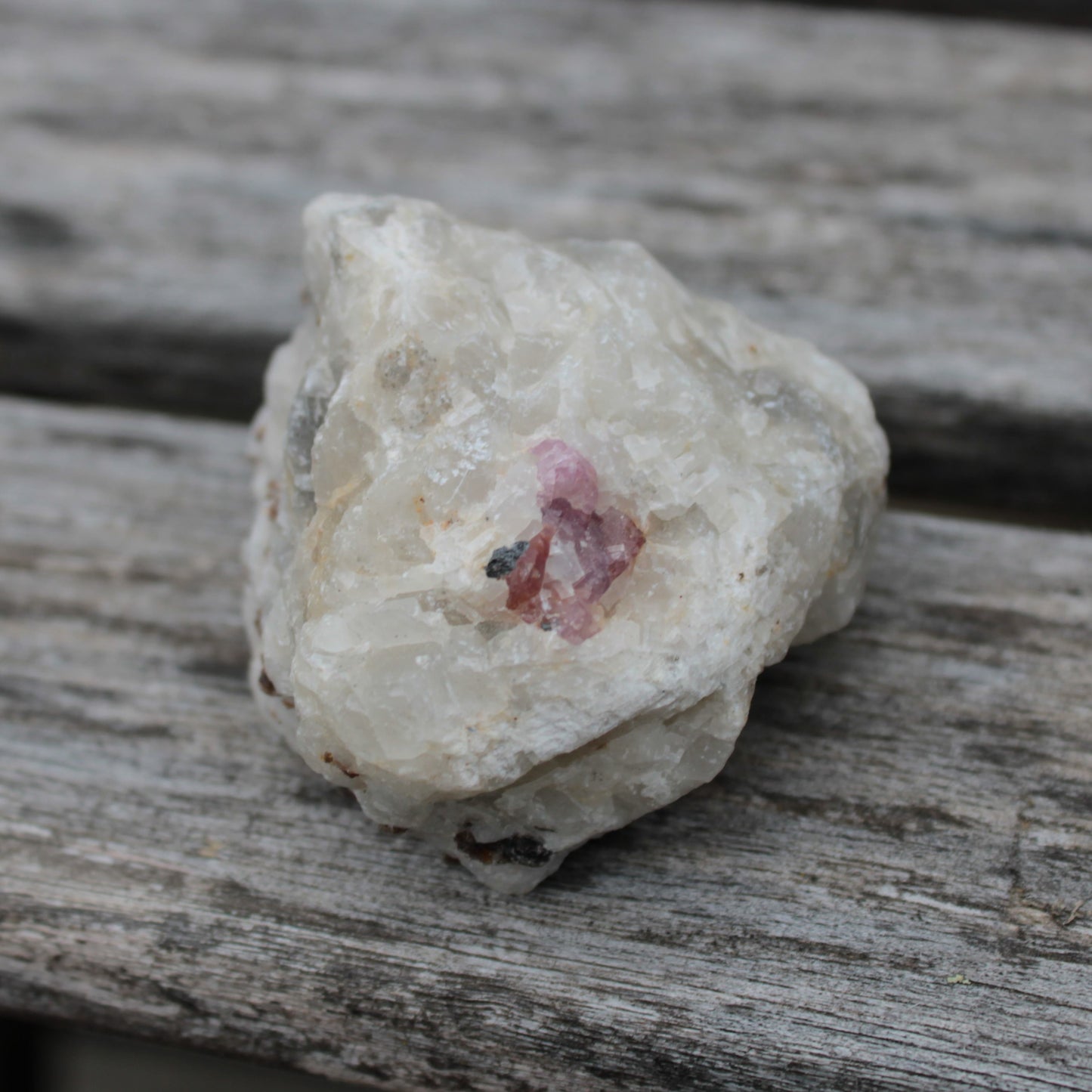 Ruby UV reactive with Phlogopite in Marble/Dolomite matrix 398.9ct 79.8g Rocks and Things