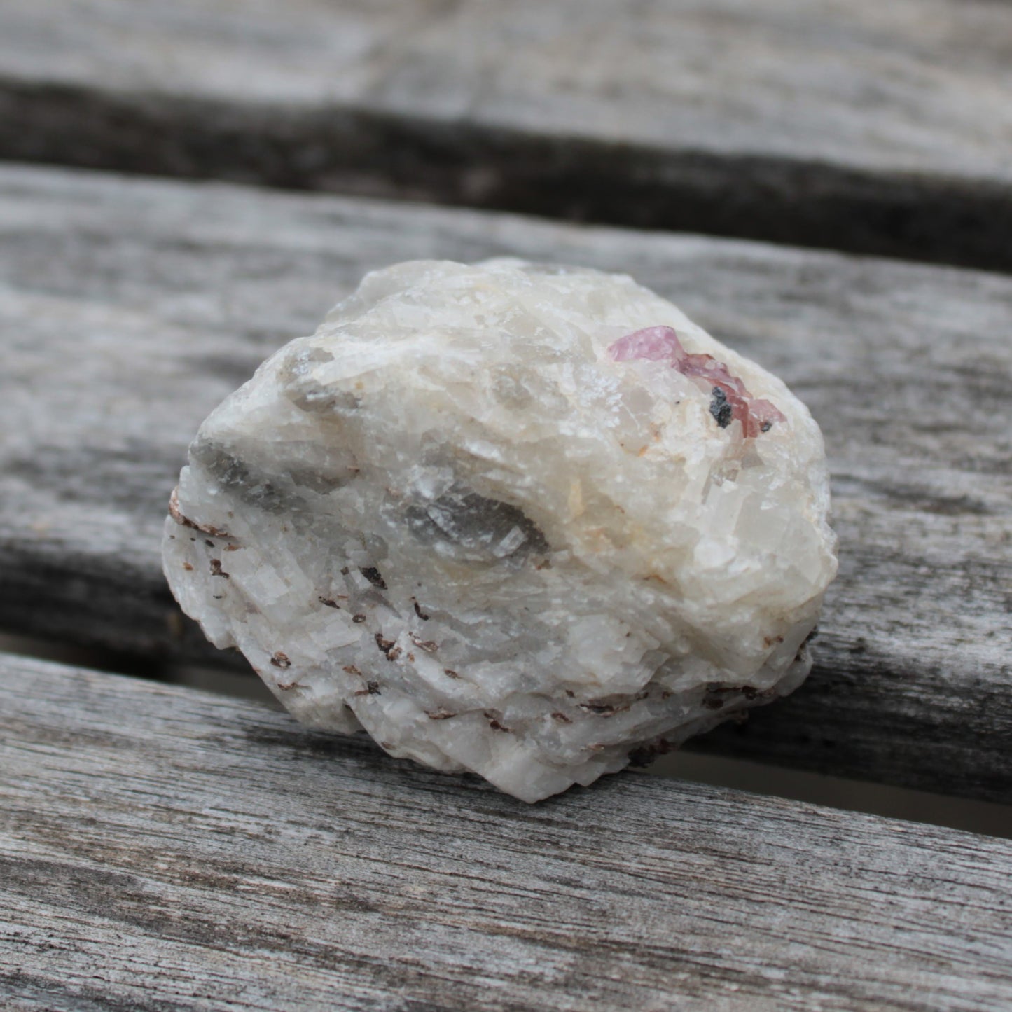 Ruby UV reactive with Phlogopite in Marble/Dolomite matrix 398.9ct 79.8g Rocks and Things