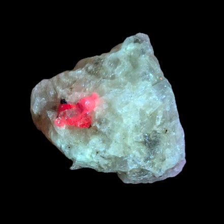 Ruby UV reactive with Phlogopite in Marble/Dolomite matrix 398.9ct 79.8g in UV light - Rocks and Things Store