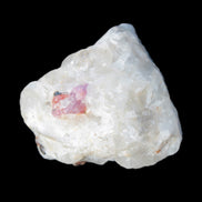 Ruby UV reactive with Phlogopite in Marble/Dolomite matrix 398.9ct 79.8g in sunlight - Rocks and Things Store