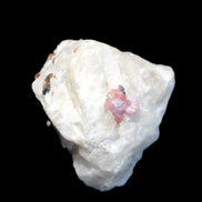 Ruby UV reactive with Phlogopite in Marble/Dolomite matrix 398.9ct 79.8g in sunlight - Rocks and Things Store