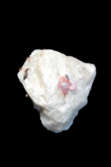 Ruby UV reactive with Phlogopite in Marble/Dolomite matrix 398.9ct 79.8g in sunlight - Rocks and Things Store