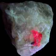 Ruby UV reactive with Phlogopite in Marble/Dolomite matrix 398.9ct 79.8g in UV light - Rocks and Things Store