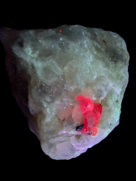 Ruby UV reactive with Phlogopite in Marble/Dolomite matrix 398.9ct 79.8g in UV light - Rocks and Things Store