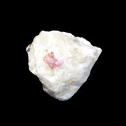Ruby UV reactive with Phlogopite in Marble/Dolomite matrix 398.9ct 79.8g in sunlight - Rocks and Things Store