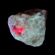 Ruby UV reactive with Phlogopite in Marble/Dolomite matrix 398.9ct 79.8g in UV light - Rocks and Things Store